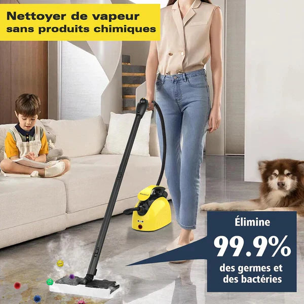 Multipurpose Steam Cleaner